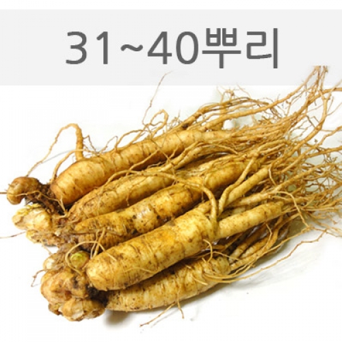 中삼계삼 750g(31~40뿌리)