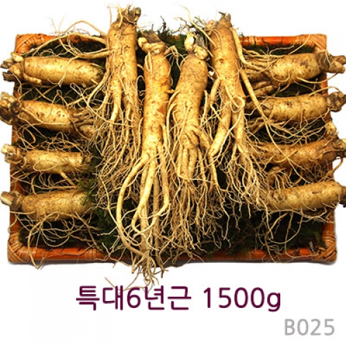 특大 6년근 1500g (11~12뿌리)