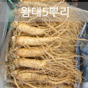 왕大원수삼 6년근 750g(5뿌리)