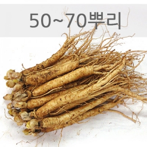 小삼계삼 750g(50~70뿌리)