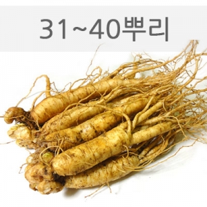 中삼계삼 750g(31~40뿌리)