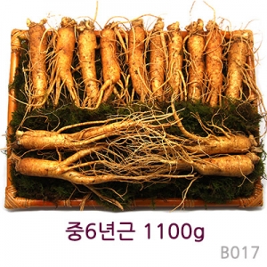 中 6년근 1100g (13~15뿌리)