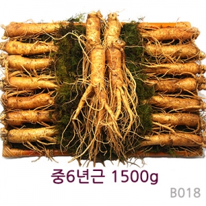 中 6년근 1500g (18~20뿌리)