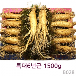 특大 6년근 1500g 고급함지함 (11~12뿌리)